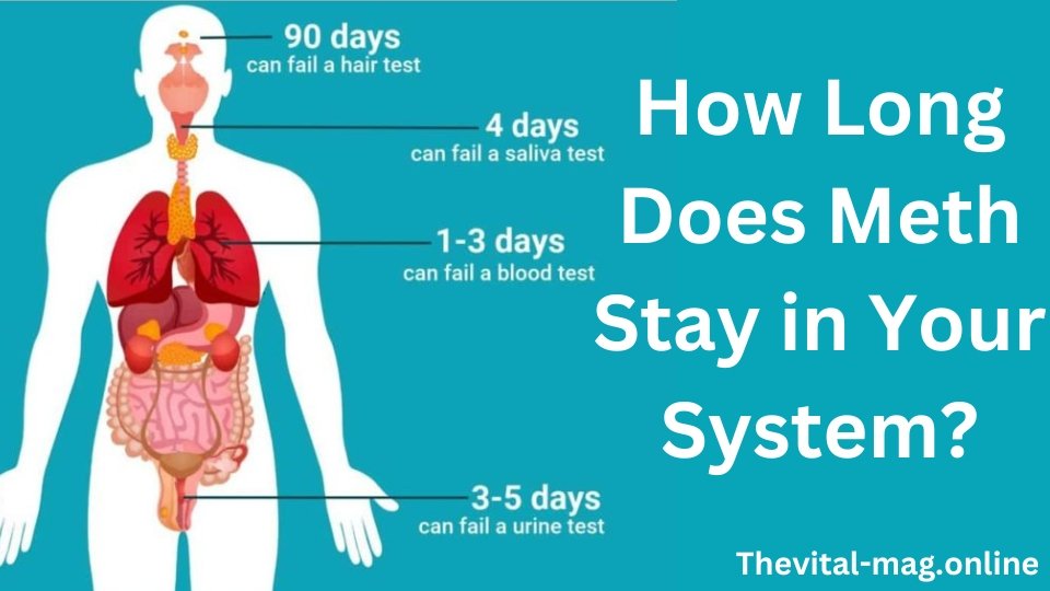 how long does meth stay in your system